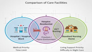 ホスピス型有料老人ホームと、病院内のホスピス（緩和ケア病棟）、一般的な有料老人ホームの3種類について、「医療体制」と「生活の自由度」の違いを比較した図。